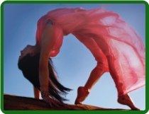 Neuromuscular Repatterning Neuromuscular Repatterning